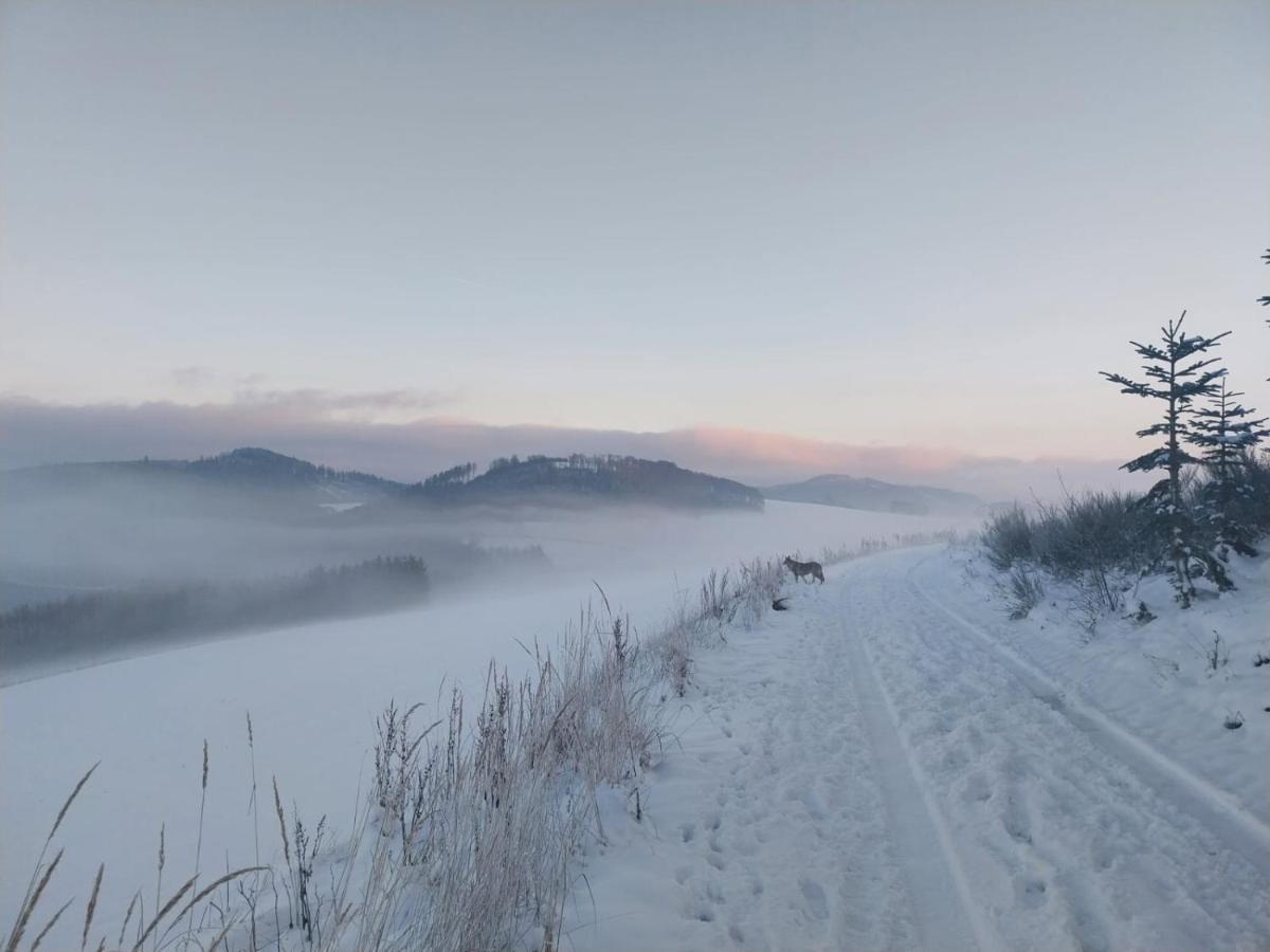 Lena Im Sauerland Direkt Am Hennesee Hébergement de vacances *